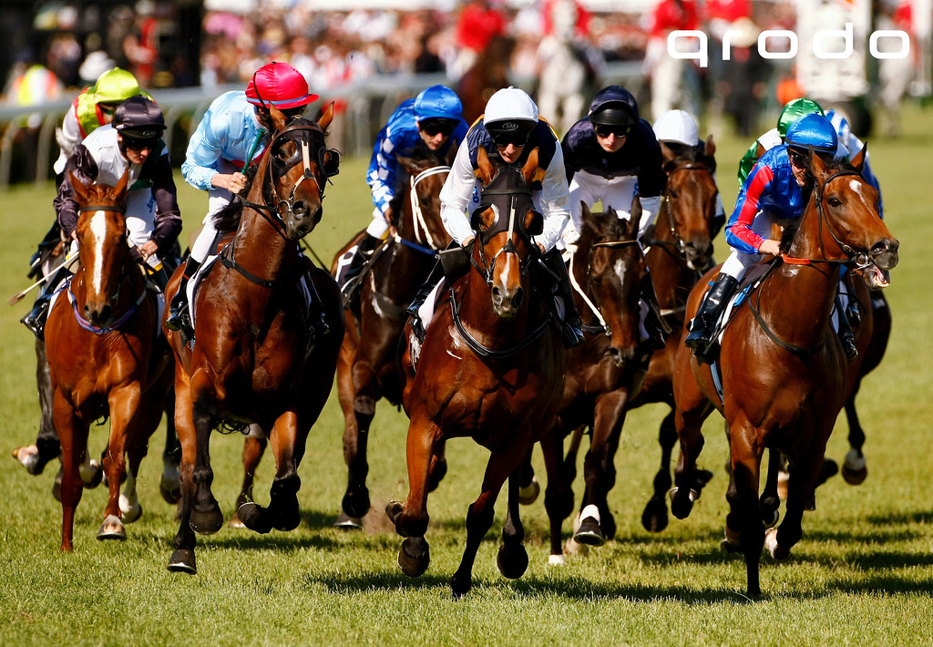Horse Racing’s Rich Heritage: A Glimpse into the Sport’s Origins