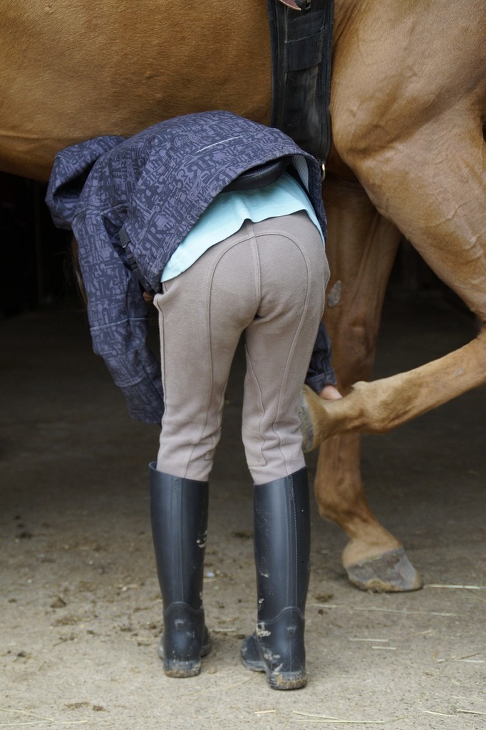 Balancing Hoof Health: Tips for Maintaining Strong Equine Feet