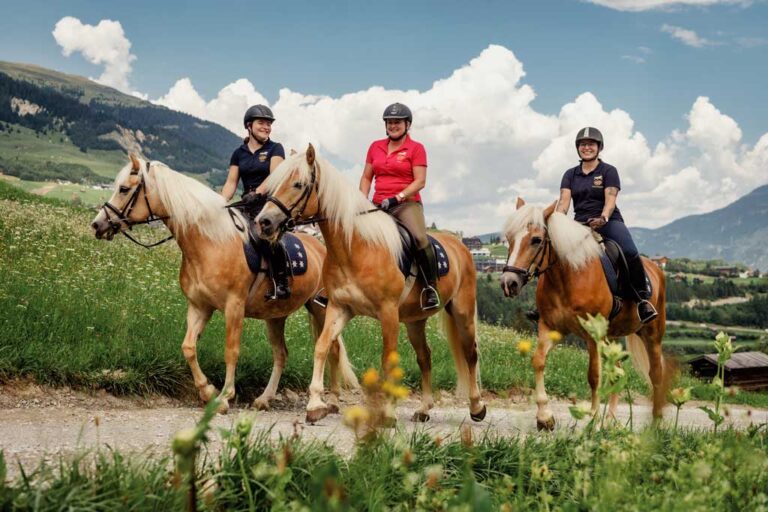 Trail Riding Adventures: Preparing and Navigating the Great Outdoors